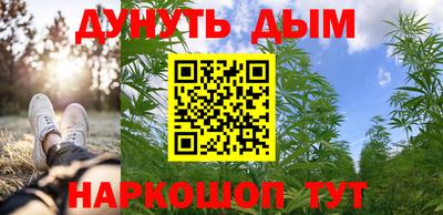 гидропоника Сланцы