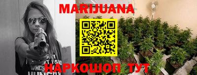 гидропоника Сланцы