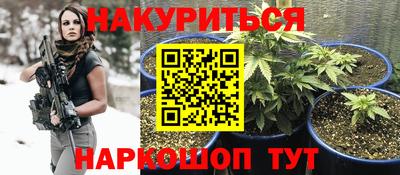 гидропоника Сланцы