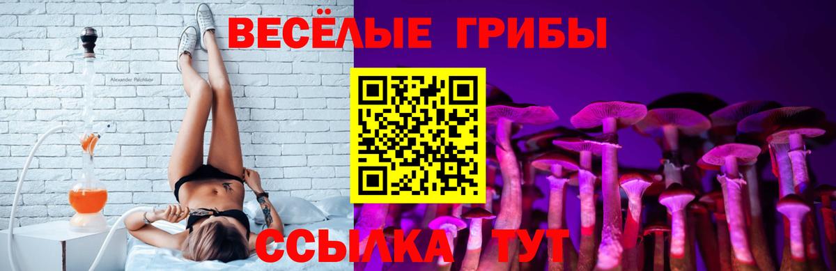 Псилоцибиновые грибы GOLDEN TEACHER  Псилоцибиновые грибы MAGIC MUSHROOMS  Осинники  Вход с VPN 
