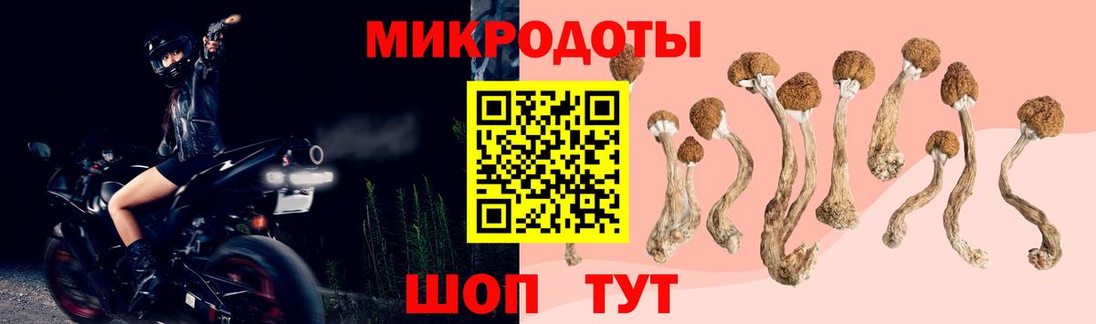 Псилоцибиновые грибы мицелий Осинники